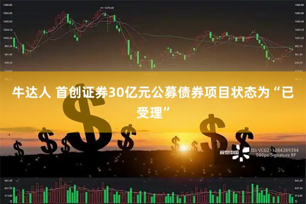 牛达人 首创证券30亿元公募债券项目状态为“已受理”
