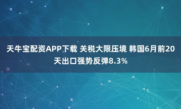 天牛宝配资APP下载 关税大限压境 韩国6月前20天出口强势反弹8.3%
