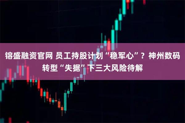 镕盛融资官网 员工持股计划“稳军心”？神州数码转型“失据”下三大风险待解