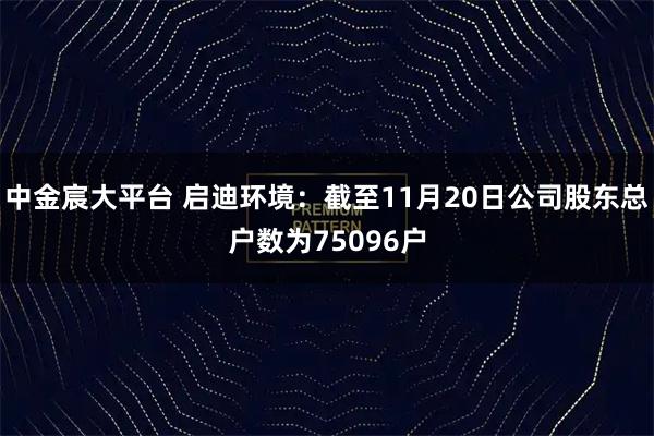 中金宸大平台 启迪环境：截至11月20日公司股东总户数为75096户