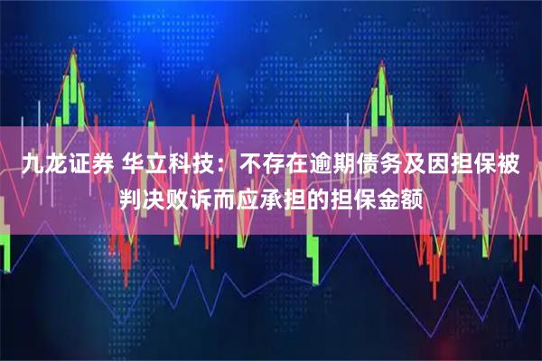 九龙证券 华立科技：不存在逾期债务及因担保被判决败诉而应承担的担保金额