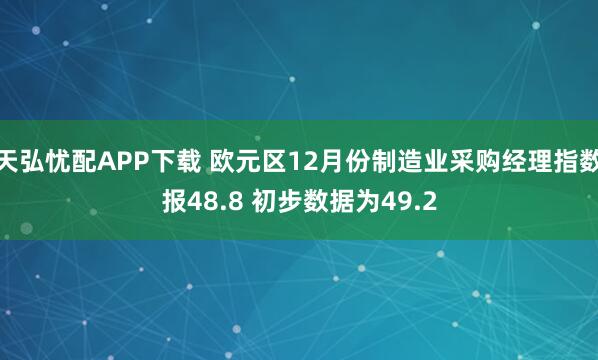 天弘忧配APP下载 欧元区12月份制造业采购经理指数报48.8 初步数据为49.2
