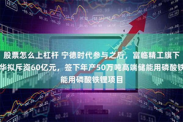 股票怎么上杠杆 宁德时代参与之后，富临精工旗下江西升华拟斥资60亿元，签下年产50万吨高端储能用磷酸铁锂项目